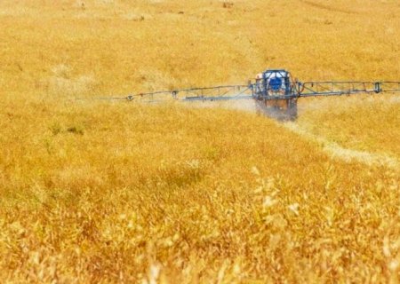 Importação de agrotóxicos tem queda de 50% no ano