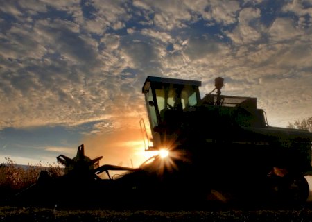 Máquinas agrícolas: setor sofre com taxa de juros e incertezas econômicas