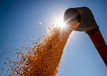 Com destaque para soja, previsão é que agricultores arrecadem R$ 52 bilhões em MS