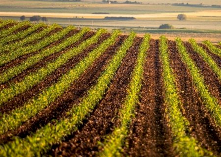 PIB do agro registra alta no primeiro trimestre