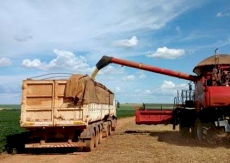 Potência do agro e sertanejo, Centro-Oeste cresce mais que dobro do Brasil