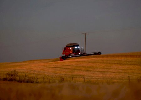 PIB do Paraná cresce 9,16% no 1º trimestre de 2023