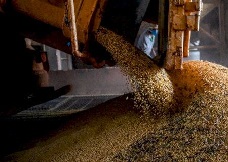 Ipea revisa crescimento do PIB agro para 2023 de 11,6% para 13,2%