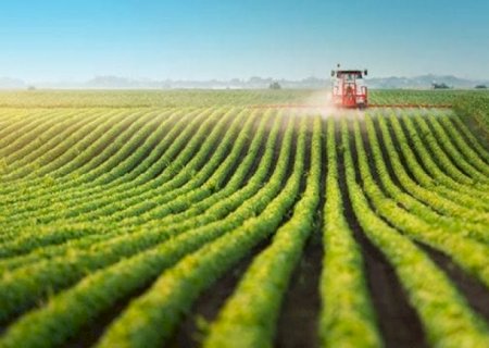Por que o agro puxa PIB do Brasil