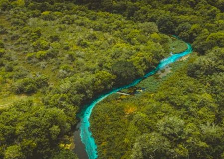 Área desmatada em Mato Grosso do Sul cai 12% em um ano