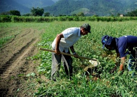 Estudo busca conscientizar os agricultores