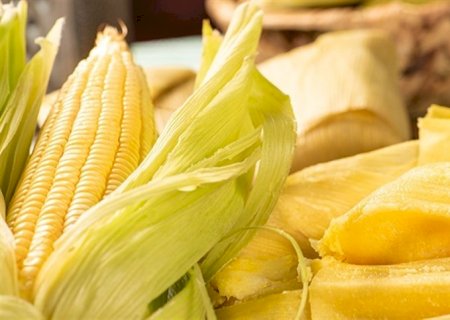 Brasil deixa sua marca no Panamá com exportações agro