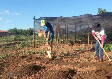 Trabalhadores pedem redução de juros para produzir alimentos no Brasil