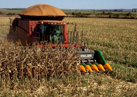 Com forte reação do agro, MS gerou 3 mil empregos em junho e tem estoque de trabalho recorde
