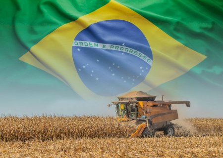 Rei dos grãos: Brasil deve exportar recorde de 50 milhões de t de milho