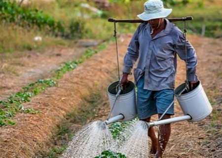 Quem são os trabalhadores por conta própria do agro?