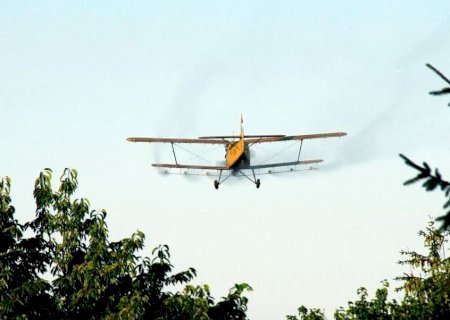 Bancada do PT quer proibir uso de aviões pulverizadores de agrotóxico em fazendas de MS