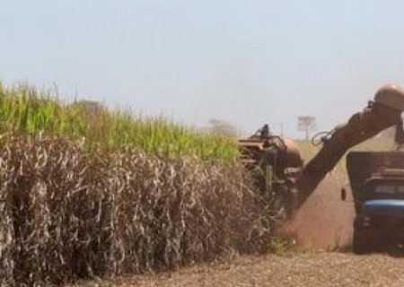 Alckmin sinaliza ao setor da cana aumento da mistura de etanol já gasolina