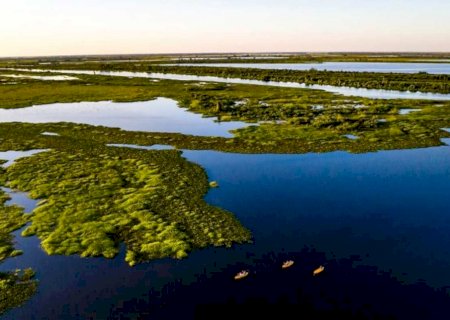 Nem chuvarada do primeiro semestre freou os desmatamentos do Pantanal