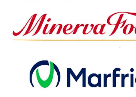 Marfrig vende ativos de bovinos e ovinos para Minerva por R$ 7,5 bilhões