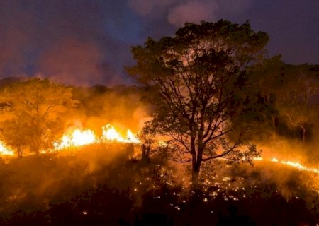 AGOSTO CINZA: Renato Câmara pede conscientização de todos contra incêndios e queimadas