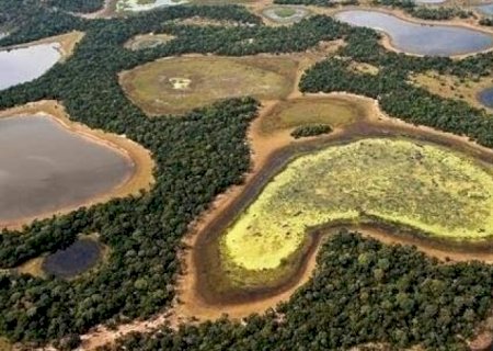 Decreto de MS suspende licença para desmatamento no Pantanal
