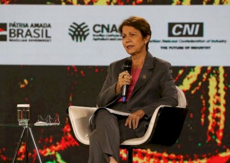 Tereza ataca Marina e vê “ambientalismo ideológico' para salvar Pantanal