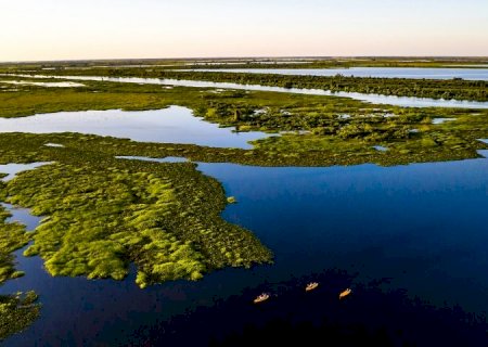 Pantanal tem 85% da área preservada e redução do desmatamento no MS