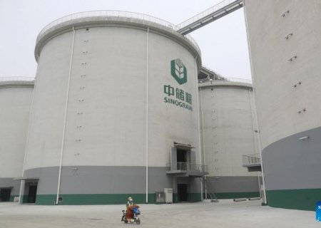 Armazenagem de grãos: agro quer juros menores para alavancar capacidade
