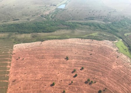 Desmatamento no Pantanal é 96% maior que o estimado pelo MPE