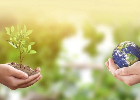 Brasil precisa de R$ 1 trilhão para alcançar objetivos ambientais | Brasilagro