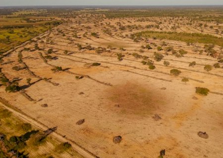 Riedel suspende licenças e promete lei para revogar decreto do desmatamento no Pantanal