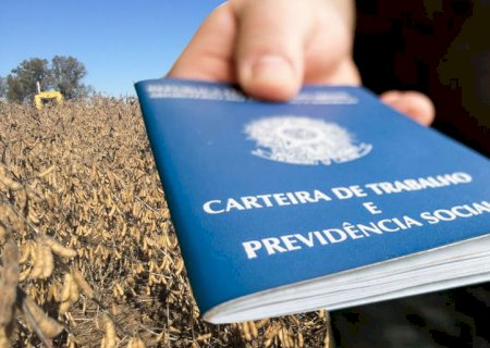 Agronegócio responde por 27% do estoque de empregos do Brasil, diz CNA
