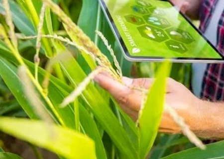 As tecnologias atuais que podem dar um salto de qualidade ao agro