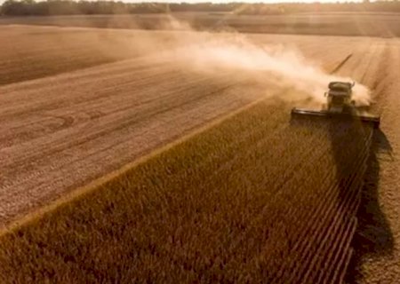 Maracaju está entre 100 municípios mais ricos do agronegócio brasileiro