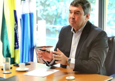 Pantanal: para discutir proteção e sustentabilidade, Riedel e Marina Silva criam GT em Brasília