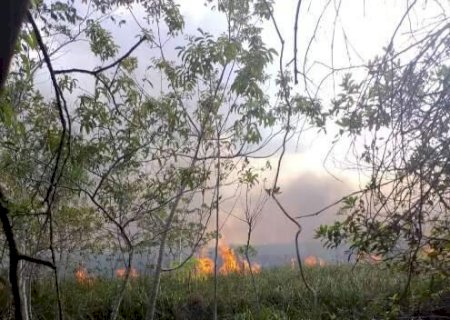 Pantanal e Cerrado registram primeiros incêndios após começo da onda de calor