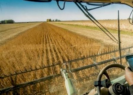Em ano de safra recorde, o destaque é a produtividade
