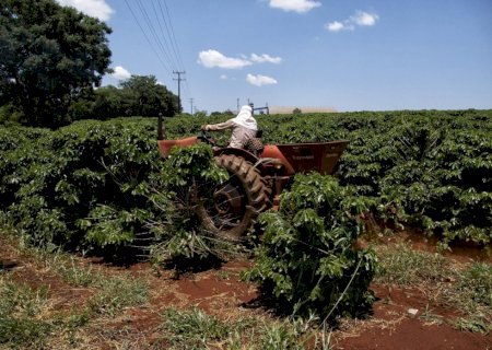 Novo ciclo de plantio: empregabilidade no agro aquece