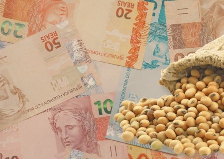 Preços da soja recuam e negócios perdem força no Brasil, seguindo Chicago e dólar