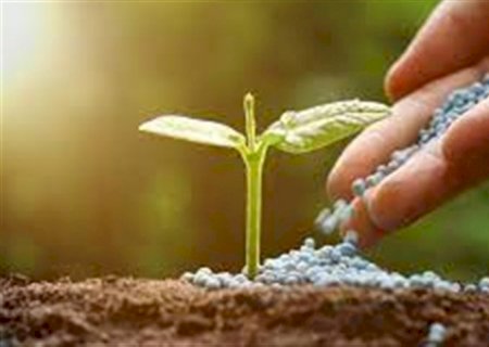 Guerra e o impacto nos fertilizantes