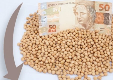 Soja no Brasil inicia a semana em baixa por influência do cenário externo