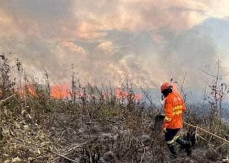 Queimadas no pantanal voltam a preocupar brigadistas em Mato Grosso do Sul
