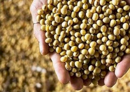 Agronegócio colhe os frutos da adoção de métodos de produção sustentáveis