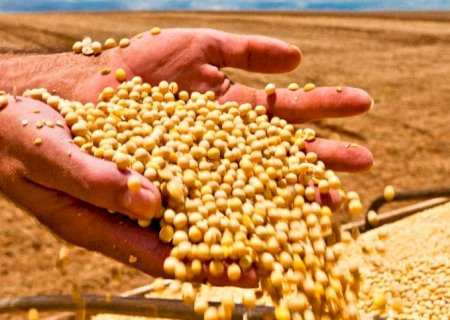 PIB da soja deve crescer mais de 20%, diz estudo