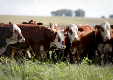 Agro: Brasil e Cuba assinam acordo que facilita exportação