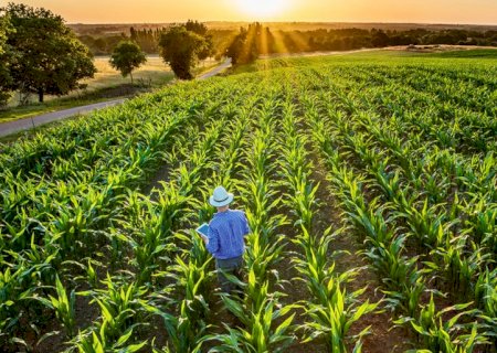 Agro continua com papel importante na produção das energias do futuro
