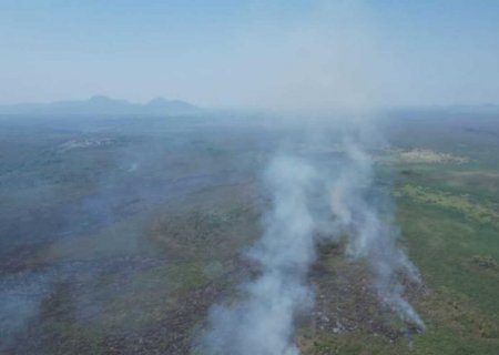 Governo de MS busca alternativa para evitar incêndios no Pantanal