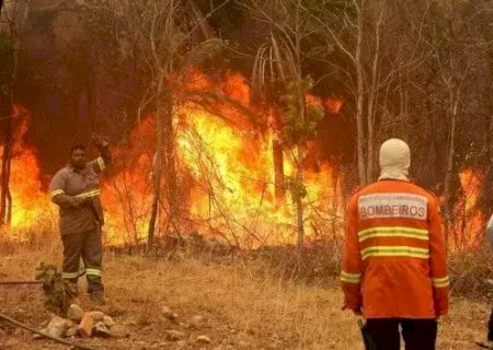 Governo decreta emergência por incêndios em 5 cidades de MS