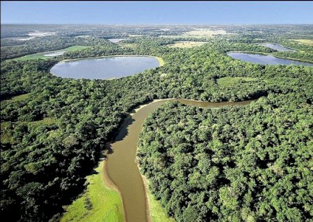 Dia do Pantanal de MS completa 3 anos e autor da Lei, Renato Câmara, destaca importância da iniciativa