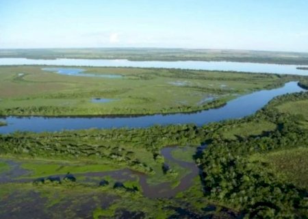 Com desmatamento desenfreado do Pantanal, Corredores Ecológicos garantem sobrevivência de espécies