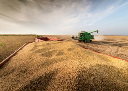 Mercado de soja deve ter dia lento, esperando dados do USDA