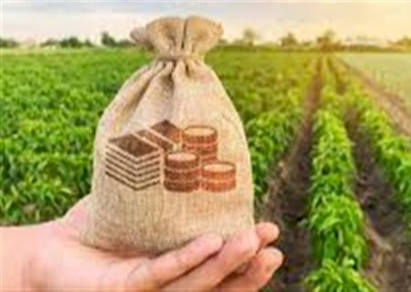 Indefinição da Reforma Tributária afeta o agro