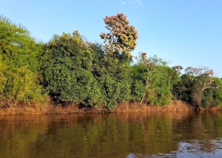 Temperaturas voltam a subir e Mato Grosso do Sul registra até 42°C nesta terça-feira