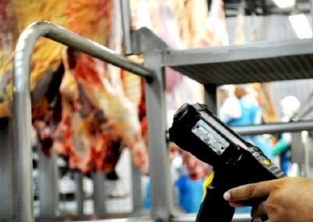 Governo aprimora Programa Precoce/MS para incentivar produção pecuária cada vez mais sustentável